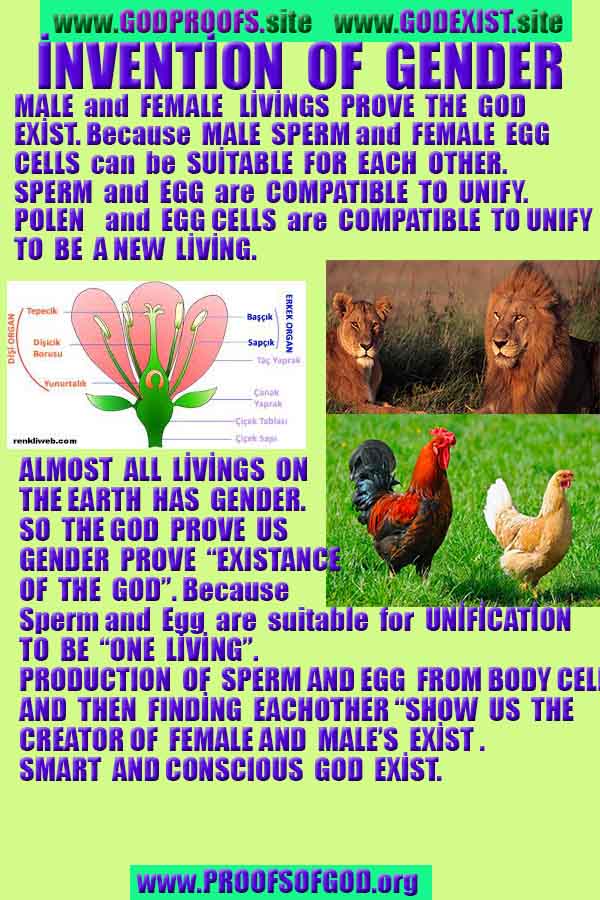 god is real, god exists here proofs, god's proofs, proofs of god, evidences of god, proofs-god, evidences-god, signs-god 