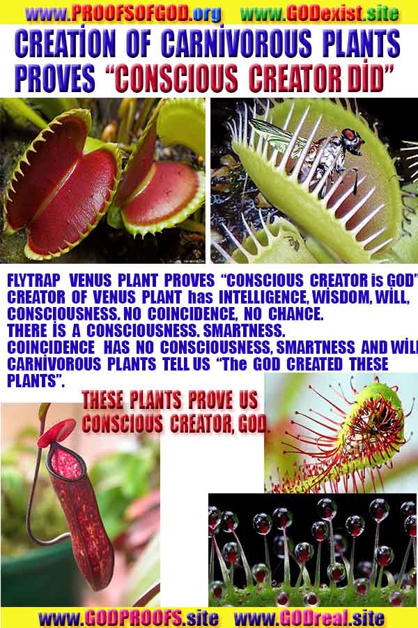 god is real, god exists here proofs, god's proofs, proofs of god, evidences of god, proofs-god, evidences-god, signs-god  