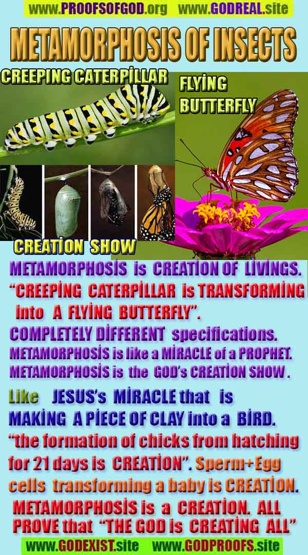 god is real, god exists here proofs, god's proofs, proofs of god, evidences of god, proofs-god, evidences-god, signs-god  