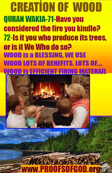 god is real, god exists here proofs, god's proofs, proofs of god, evidences of god, evidences-god, signs-god 