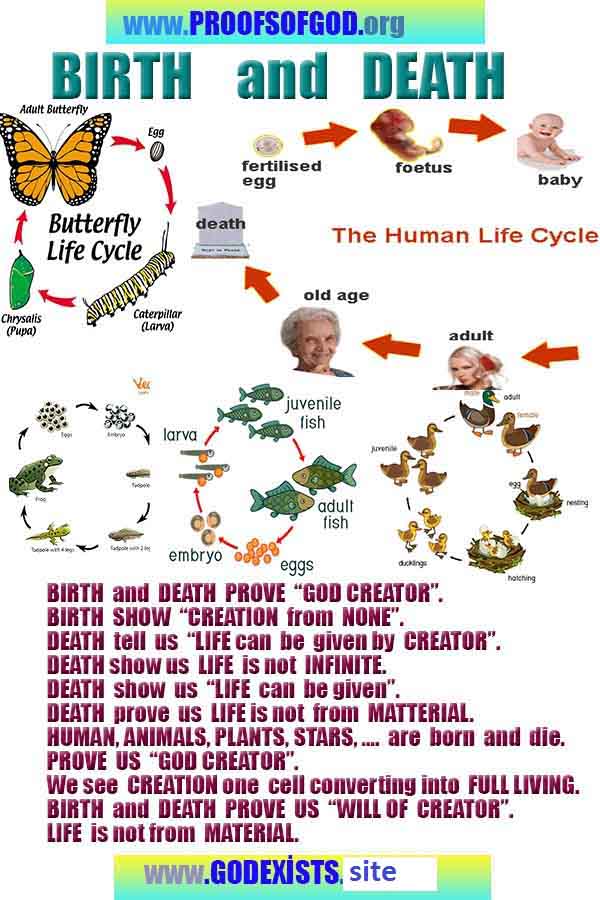  god is real, god exists here proofs, god's proofs, proofs of god, evidences of god, proofs-god, evidences-god, signs-god