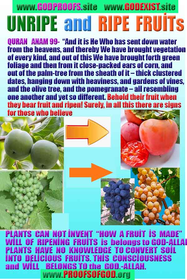 god is real, god exists here proofs, god's proofs, proofs of god, evidences of god, proofs-god, evidences-god, signs-god  